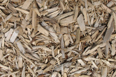 biomass boilers Woodleigh